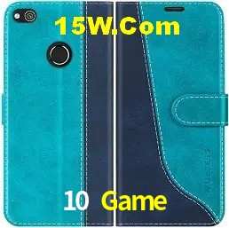 Login Seguro 10 Game